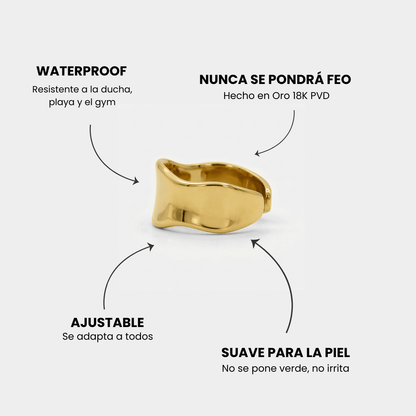 Anillo Mola